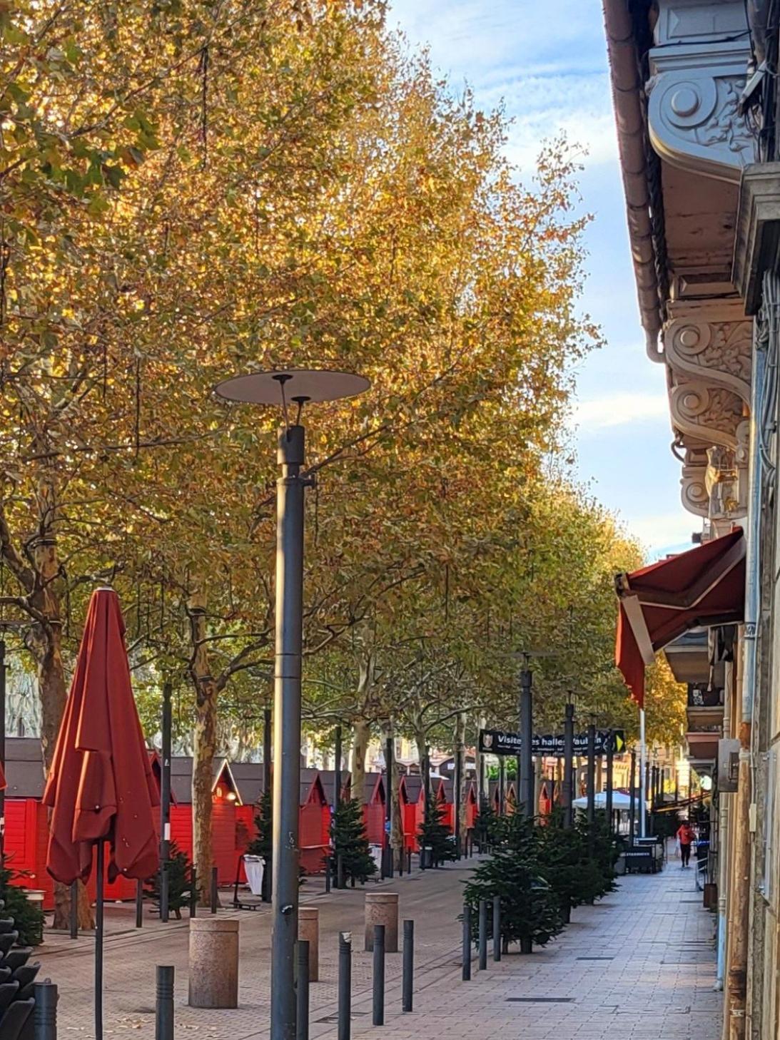 Superbe bâtisse de caractère, coeur de ville Perpignano Esterno foto